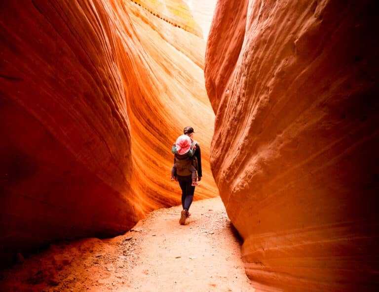 Hiking Trails